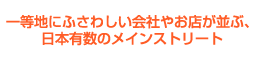 一等地にふさわしい会社やお店が並ぶ、日本有数のメインストリート