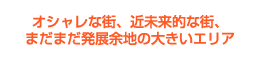 オシャレな街、近未来的な街、まだまだ発展余地の大きいエリア